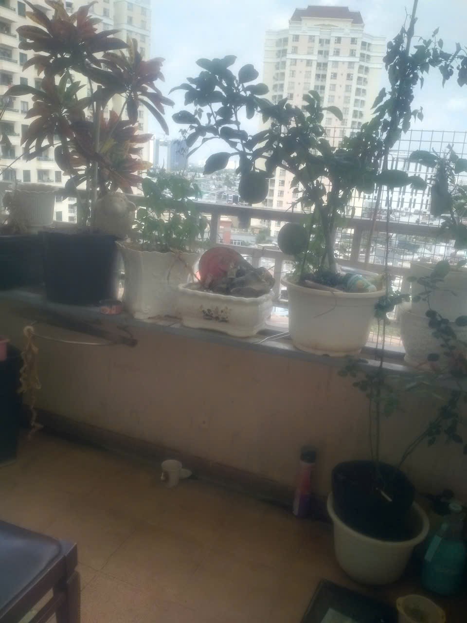 ban can ho quan 2, ảnh to2