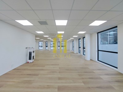 ban dat quan 2, ảnh to3